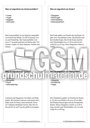 Quiz-Karten-Tiernamen 44.pdf